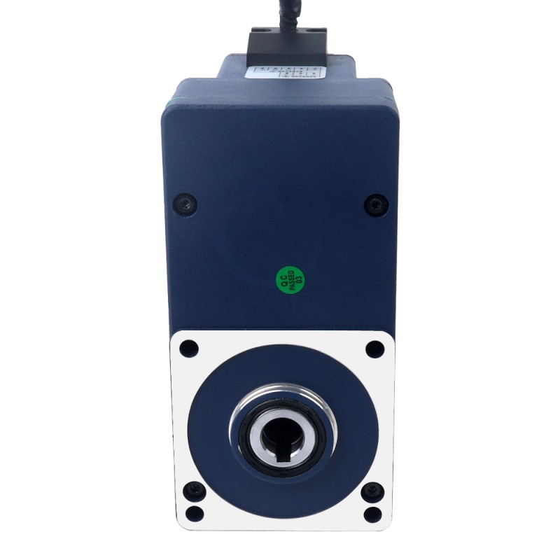 Motor CC sin escobillas con engranaje de 24V 60W 100RPM 4,20Nm(594,77oz.in) 30:1 con caja de cambios de eje hueco paralelo - F4B60-24GL-30S/4GL30RC | StepperOnline UK