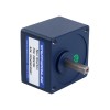 Fase única 220VAC 6W 50Hz Brida 60mm Relación de transmisión 10:1 Motor de inducción de CA con caja de cambios rectos