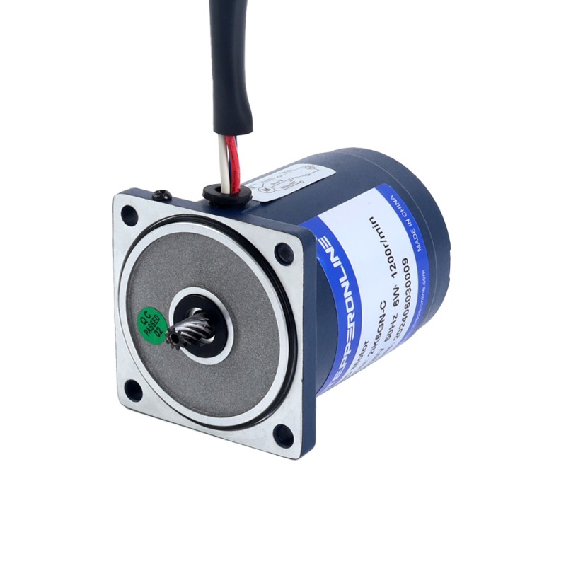 Fase única 220VAC 6W 50Hz Brida 60mm Relación de transmisión 10:1 Motor de inducción de CA con caja de cambios rectos