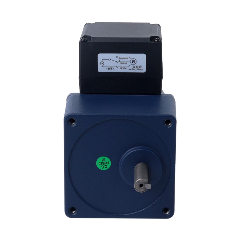 Fase única 220VAC 25W 50Hz Brida 80mm Relación de transmisión 20:1 Motor de inducción de CA con caja de cambios rectos