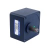 Tres fases 220VAC/380VAC 40W 50/60Hz Brida 90mm Relación de transmisión 30:1 Motor de inducción de CA con caja de cambios rectos