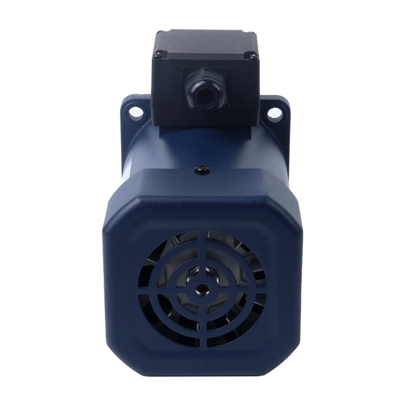Fase única 110VAC 200W 60Hz Brida 104mm Relación de transmisión 20:1 Motor de inducción de CA con caja de cambios en ángulo recto