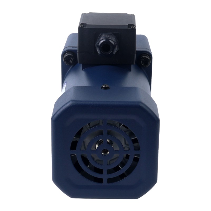 Fase única 220VAC 200W 50Hz Brida 104mm Relación de transmisión 100:1 Motor de inducción de CA con caja de cambios rectos